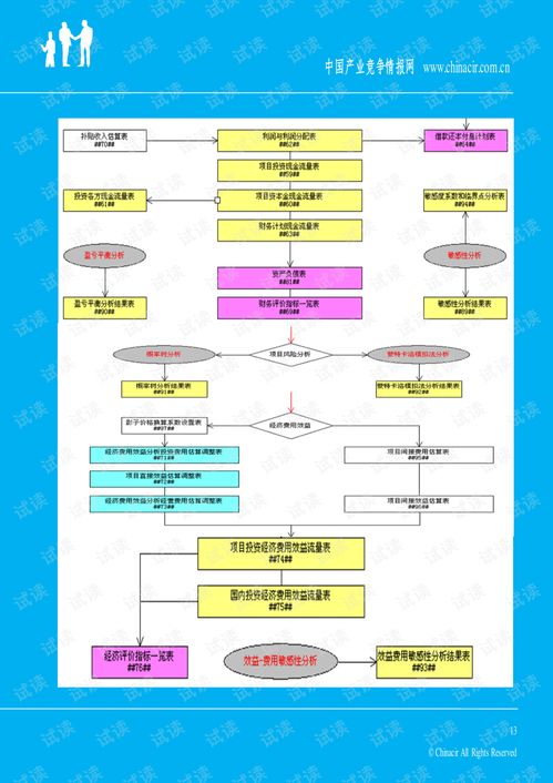 2013年App项目融资成功案例 商业计划书精要与投资专家咨询