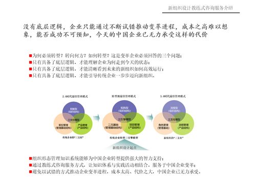 重塑组织活力 新组织设计教练式咨询服务与投资决策咨询的双轮驱动